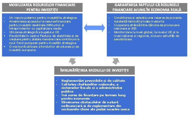 proiecte de investiții și opțiuni reale)