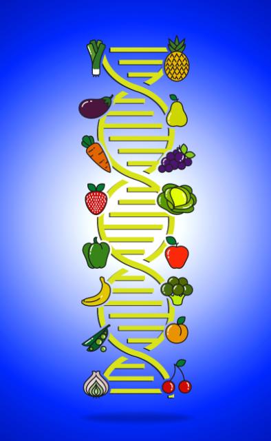 A DNA chain of genetically modified fruits and vegetable
