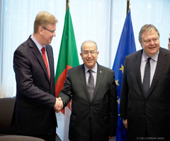 EU-Algeria: Stronger relations and cooperation on human rights  