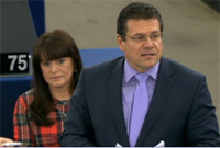 Speech on the preparations for the European Council meeting (19-20 December 2013)