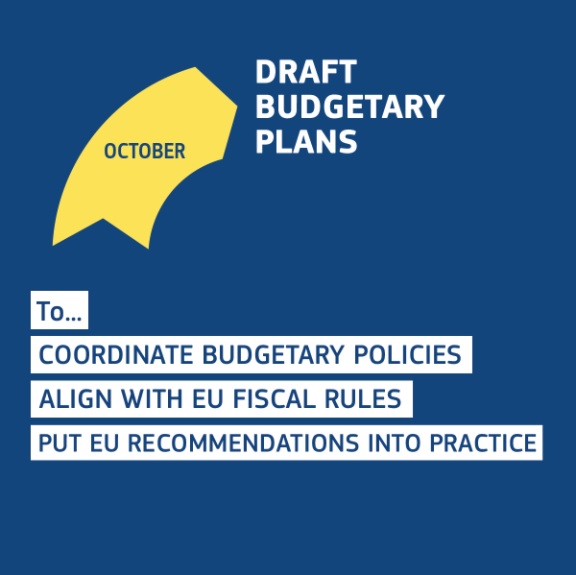 Draft budgetary plans: putting recommendations into practice