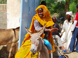 Lady riding a donkey