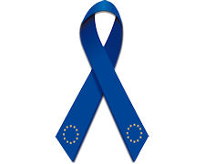 European Parliament Blue Ribbon