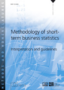 Methodology of short-term business statistics - Interpretation and Guidelines