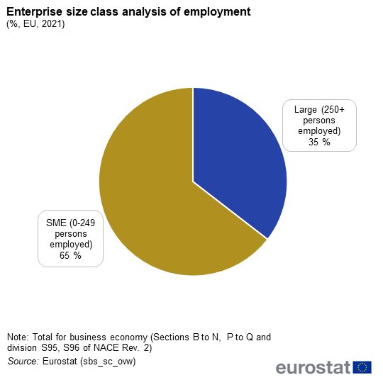 Pie chart showing enterprise size class analysis of employment as percentage in the EU. The pie chart has two segments representing SME at 65 percent and Large at 35 percent for the year 2021.