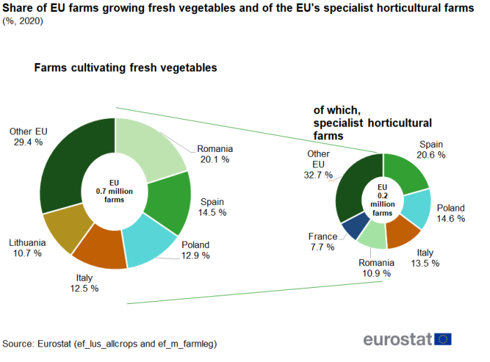 Doughnut chart showing percentage share of EU farms growing fresh vegetables and of the EU's specialist horticultural farms for the year 2020. Based on 0.7 million EU farms, seven segments represent six countries with the highest shares and other EU. A smaller doughnut chart based on the 0.5 million EU specialist horticultural farms has seven segments representing six countries with the highest shares and other EU.