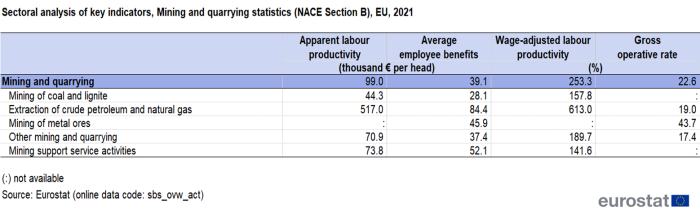 a table on the sectoral analysis of key indicators, mining and quarrying statistics for NACE Section B in the EU for 2021. The columns show apparent labour productivity average personnel costs wage adjusted labour productivity and the gross operating rate.