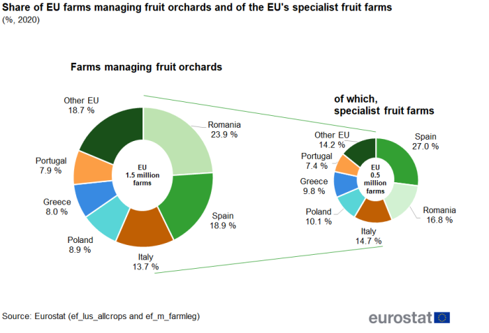 Doughnut chart showing percentage share of EU farms managing fruit orchards and the EU's specialist fruit farms for the year 2020. Based on 1.5 million EU farms, seven segments represent six countries with the highest shares and other EU. A smaller doughnut chart based on the 0.5 million EU specialist fruit farms has seven segments representing six countries with the highest shares and other EU.