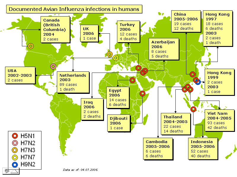 Avian Bird Flu