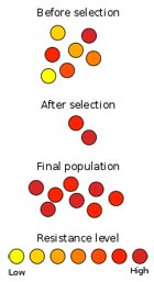 Resistant bacteria can survive biocide concentrations that would
								kill others.