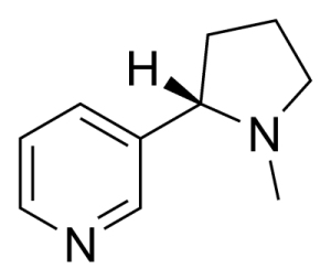 Negative Effects Of Nicotine On The Circulatory System