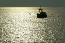 fishing trawler on the ocean