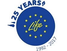 LIFE-25 logo