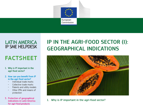 IP in the agri-food sector: geographical indications