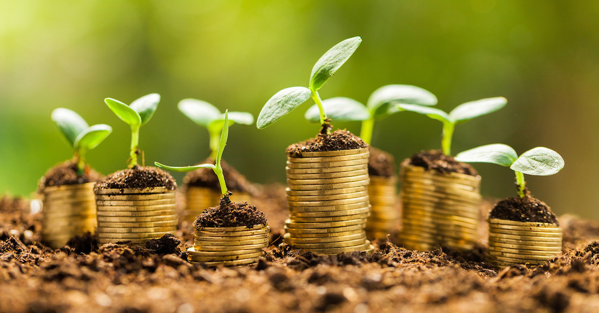 Small young plant sprouts growing on the top of columns of coins on fertile soil with blurred green background