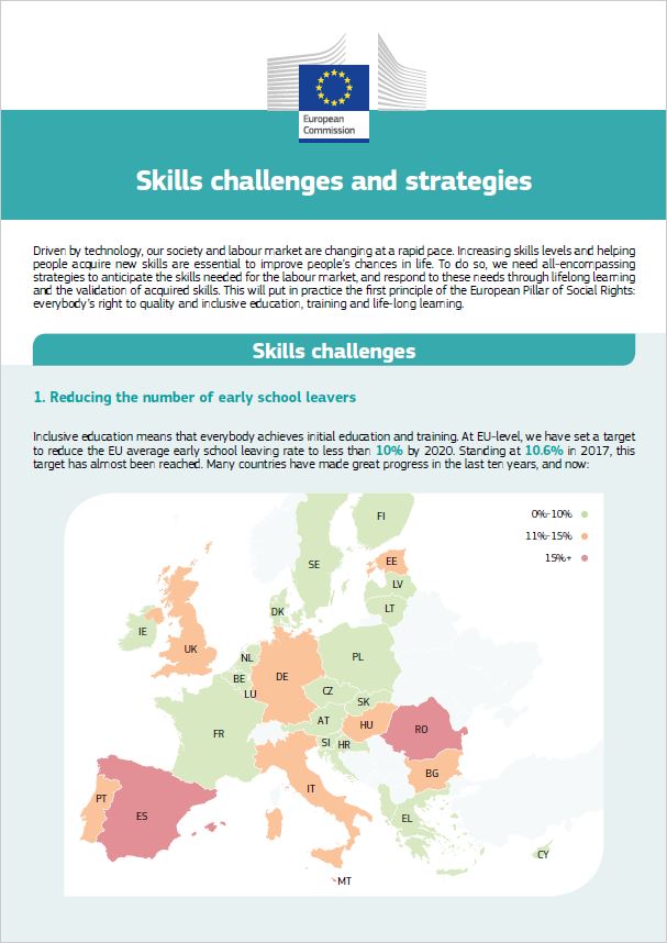 Skills challenges and strategies - factsheet
