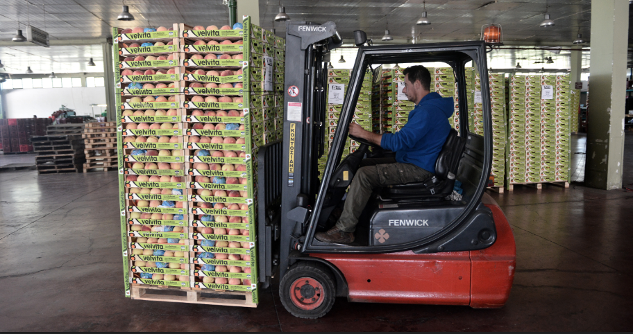 An employee transporting  wooden crates with a forklift truck 