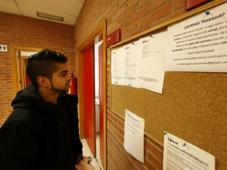 Young man looking at board with job ads