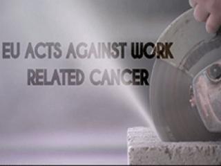 Carcinogens exposure at work