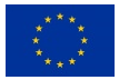 EU Logo