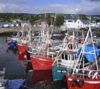 Reform of the Common Fisheries Policy