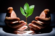 Corporate Social Responsibility: a new agenda for action 
