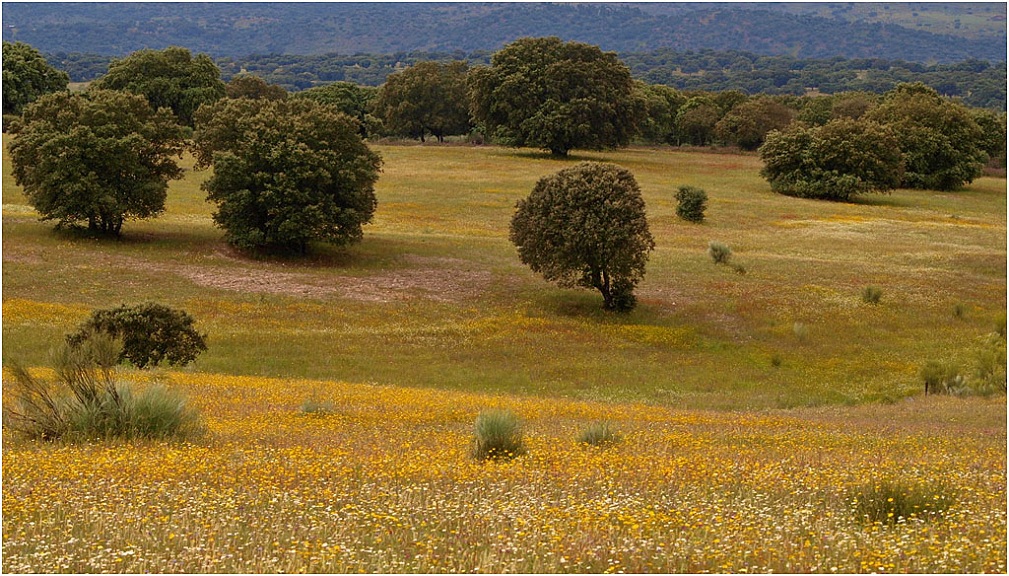 PT Foto 1 Tajo Internacional ITI - landscape 1.jpg
