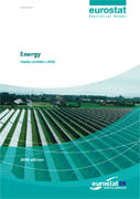 Energy - Yearly statistics 2006