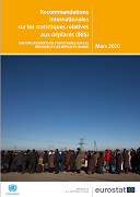 Recommandations internationales sur les statistiques relatives aux déplacés (IRIS)