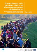 Expert Group on Refugee and Internally Displaced Persons Statistics — International Recommendations on Refugee Statistics (IRRS)