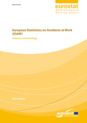 Europäische Statistik über Arbeitsunfälle (ESAW) - Zusammenfassende Methodik - 2013 Ausgabe