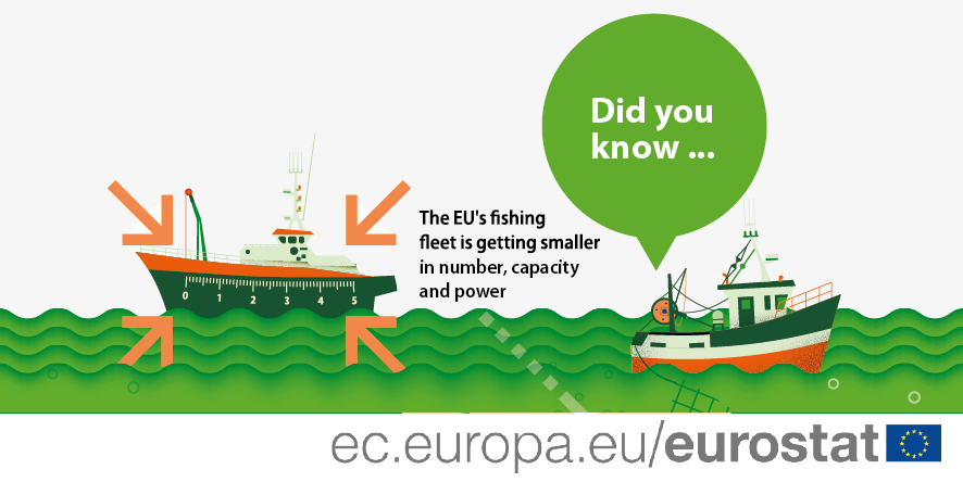 Infographic: EU fishing fleet