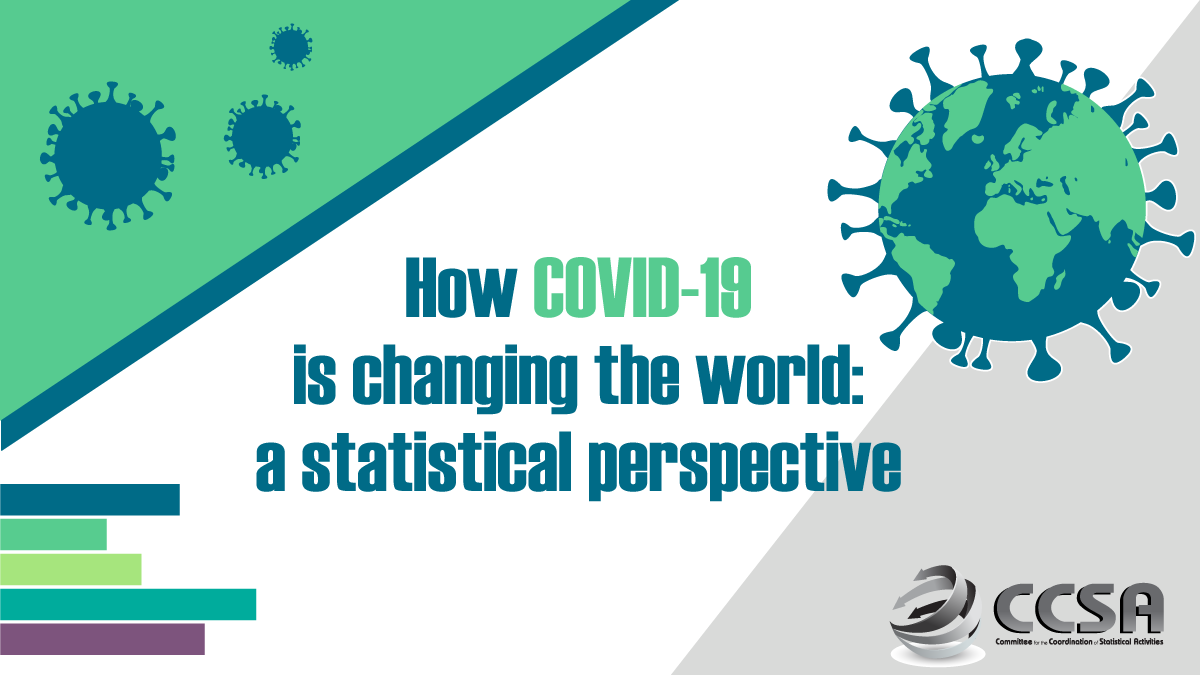 Report on "How Covid-19 is changing the world: a statistical perspective"