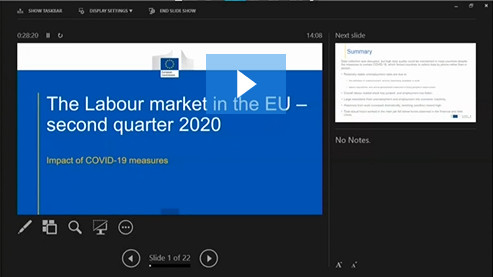 Webinar- The labour market in the EU the second quarter of 2020