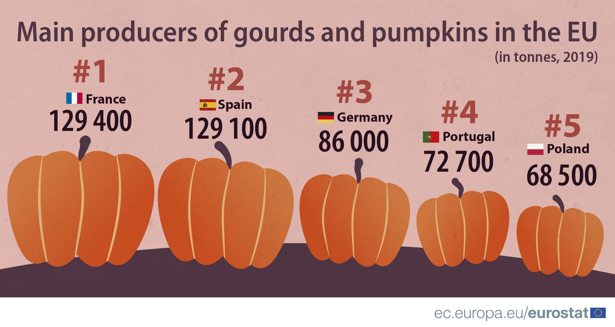  Infographic: Main producers of gourds and pumpkins 