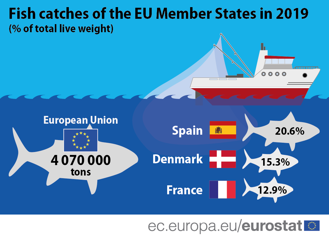 Infographic: Fish catches of the EU Member States in 2019