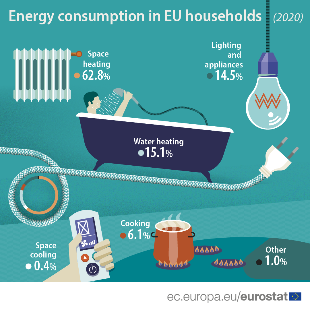 Infographic: Energy consumption in EU households, 2020