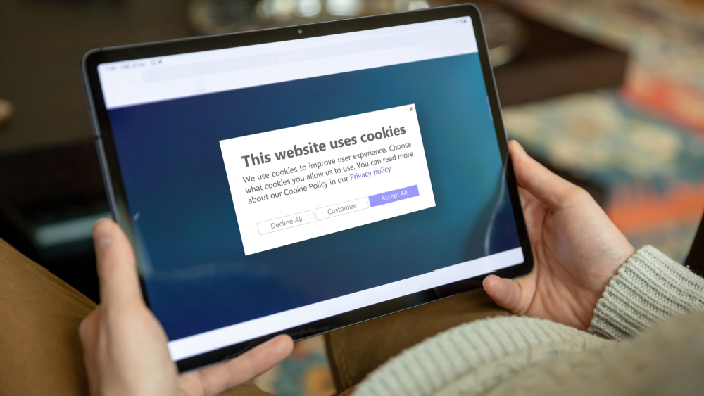 Safer Internet Day: are you managing cookies? – Products Eurostat News