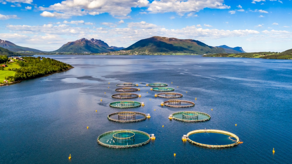 Multiple aquaculture pools on open sea.
