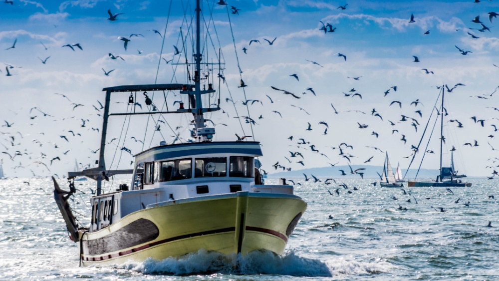 More boats on open sea with a lot of birds flying around them
