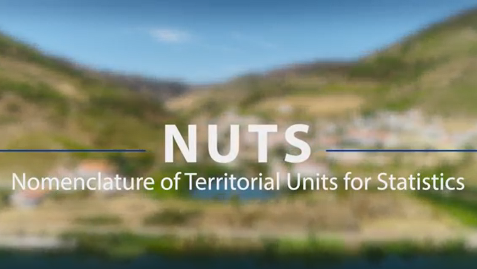 Regions and cities in the EU: 3 online videos - Products Eurostat News ...