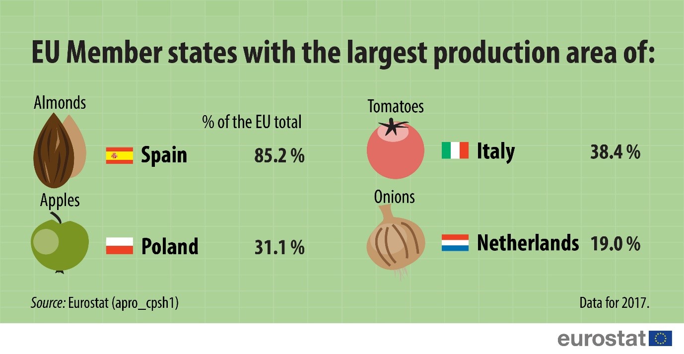 Infographic: EU Member States with the largest production area of selected fruits and vegetables 