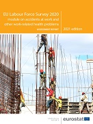 EU Labour Force Survey 2020 module on accidents at work and other work-related health problems — Assessment report