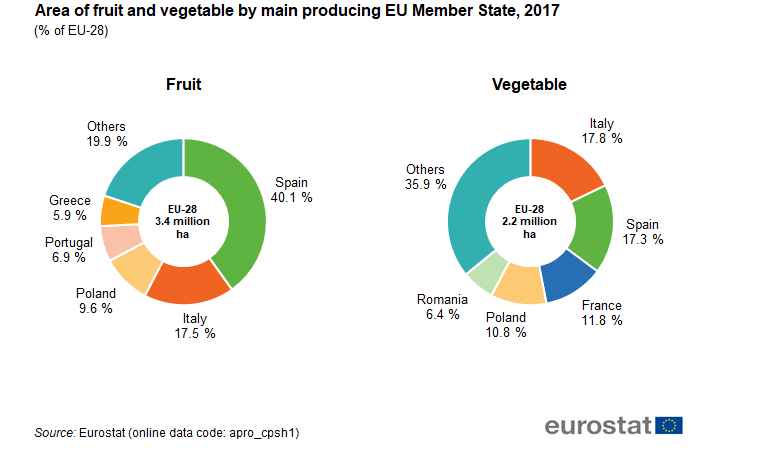 Vegetable Comparison Chart