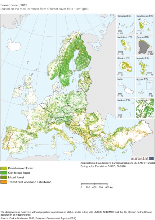 A map of Europe showing forest cover based on the most common form of forest cover for a 1 kilometre squared grid for the year 2018.