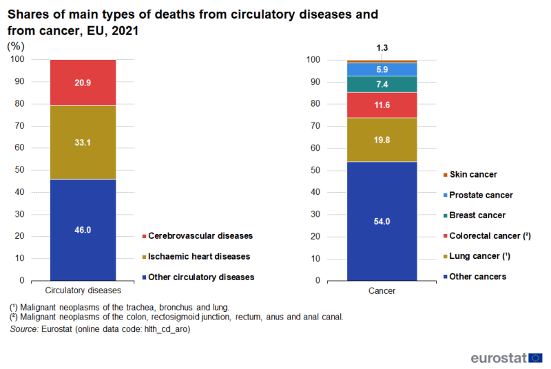 A pair of stacked column charts showing the shares of deaths from various types of circulatory diseases and from various types of cancer as percentages of the totals for circulatory diseases and for cancer. Data are shown for 2021 for the EU.