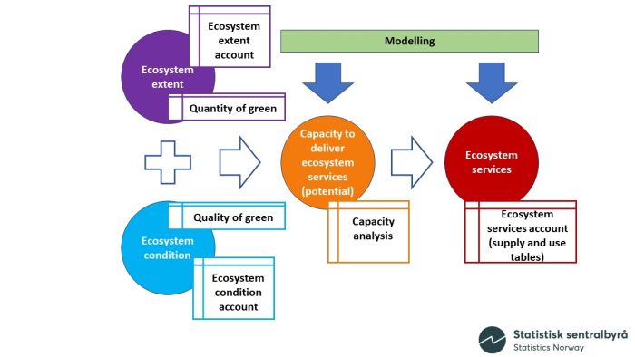 A diagram showing the structure of the system of environmental-economic accounting – experimental ecosystem accounting for extent accounts and condition accounts, as a basis to model capacity and the use of ecosystem services.