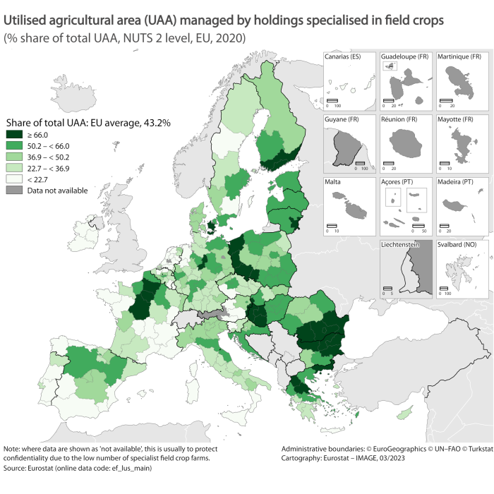 Map of the EU Member States showing utilised agricultural area (UAA) managed by holdings specialised in field crops as percentage share of total of UAA. At NUTS 2 level, the sections are colour-coded within certain ranges for the 2020.
