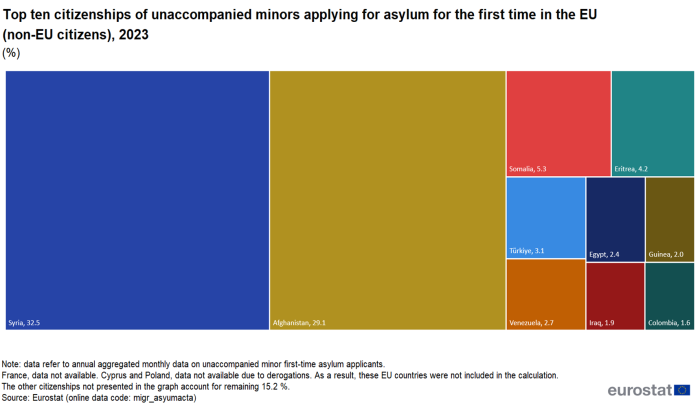 a tree map chart showing ten main citizenships of unaccompanied minors applying for asylum for the first time in 2023. The chart shows 10 rectangles that illustrate the shares of top 10 citizenships in total number of unaccompanied minors applying for asylum in 2023.