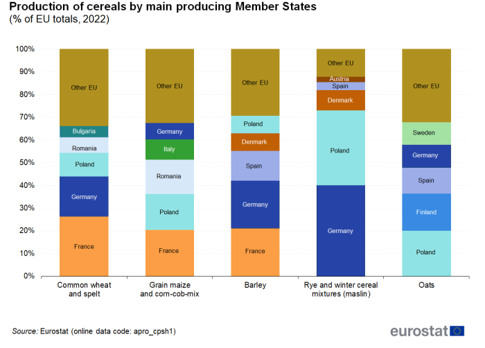 Stacked vertical bar chart showing production of cereals by main producing Member States as percentage of EU totals. Five columns represent the cereal categories. Totalling 100 percent, each column contains six stacks of five named countries and one for other EU countries for the year 2022.
